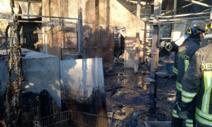 Incendio al gattile di Rho, strage di mici