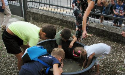 A Paina tanti bambini alla ricerca... dell'oro