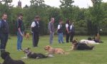 Il Comune manda i padroni di cani a lezione