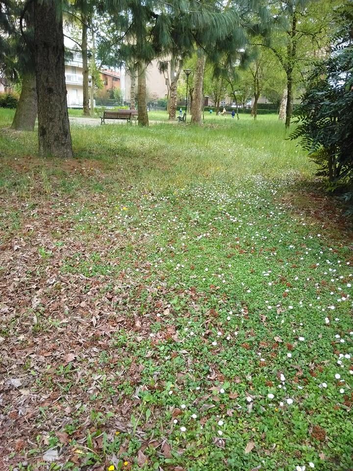 Parco del Gaggin: nuovi giochi grazie ad un finanziamento regionale