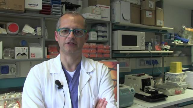 Comitato sicurezza alimentare: il ministro nomina un professore di Carate