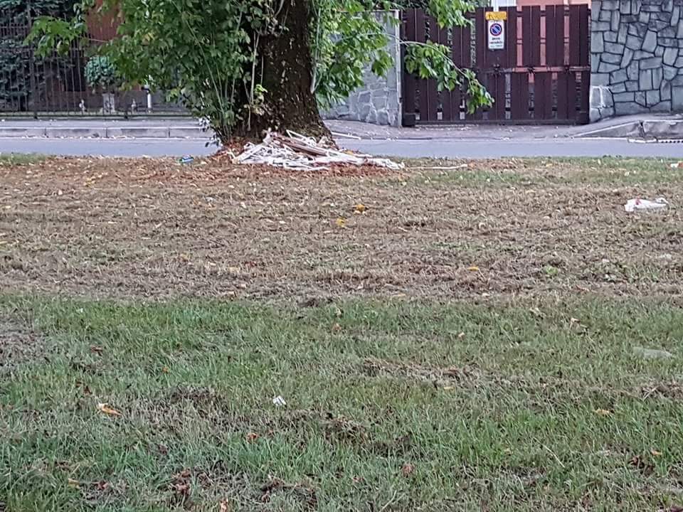Un’altra aiuola cancellata dalla ditta del verde