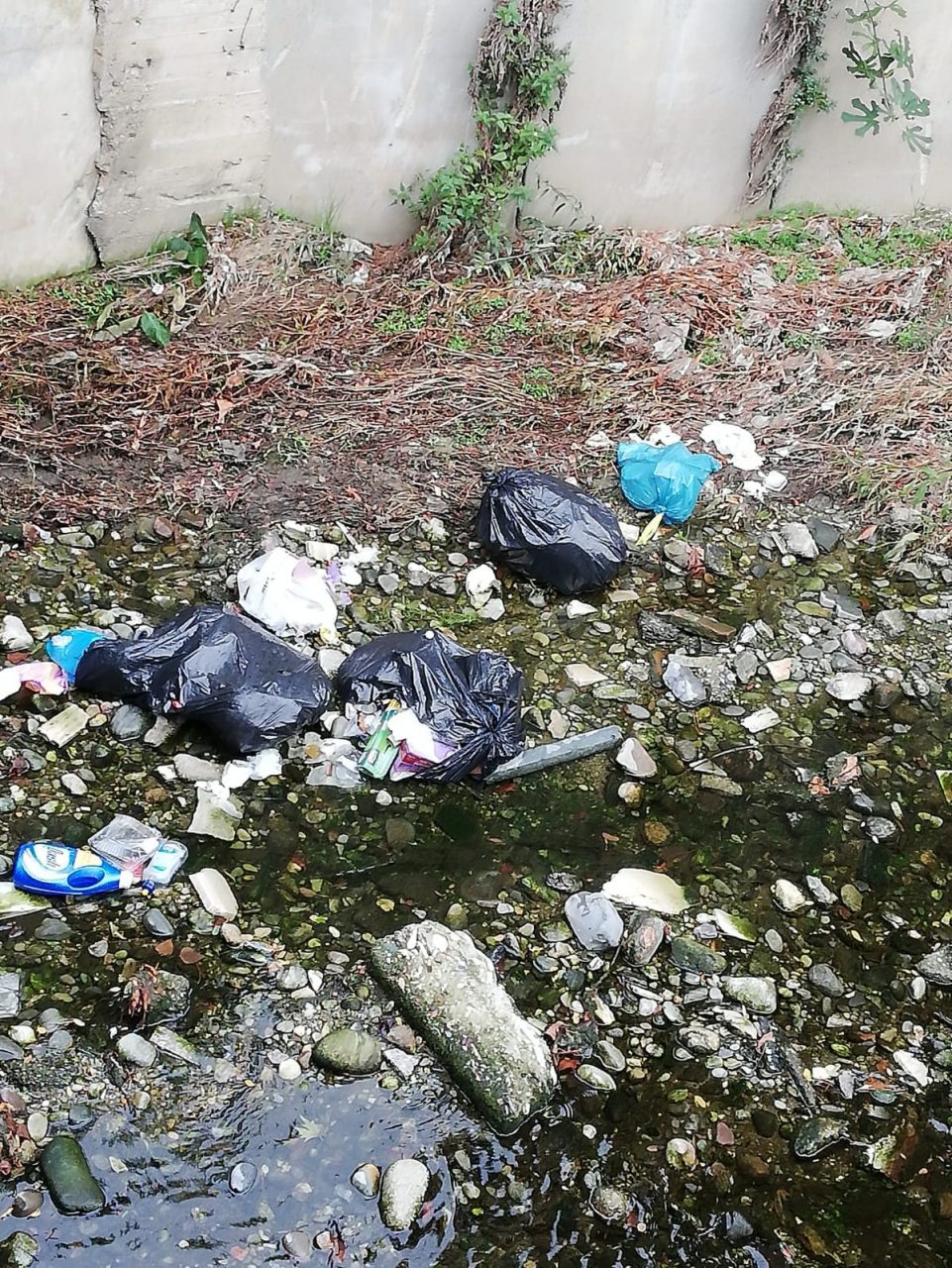 Si muove qualcosa tra i sacchi nel Certesa, ma è un falso allarme
