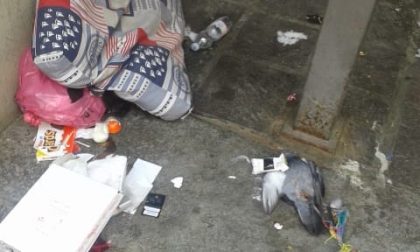 Degrado in centro a Vimercate rifiuti fuori dalle case