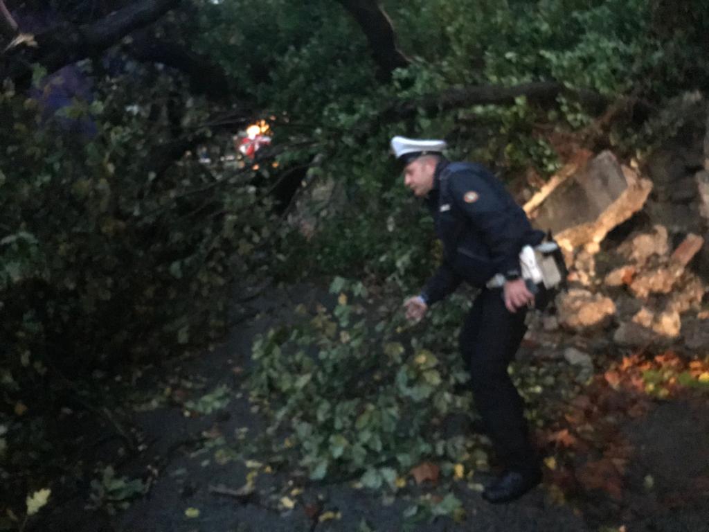 Bomba d’acqua, cadute piante in diversi Comuni