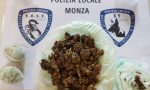 Controlli antidroga | Il cane Narco trova 38 grammi di marijuana