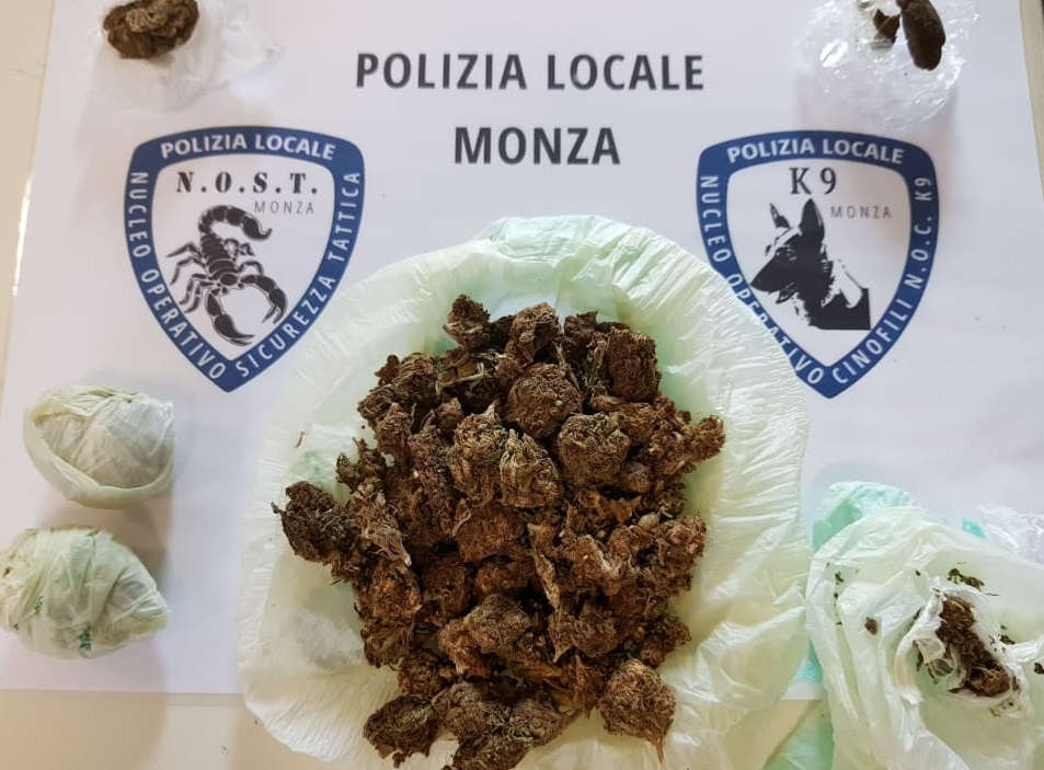 Controlli antidroga | Il cane Narco trova 38 grammi di marijuana