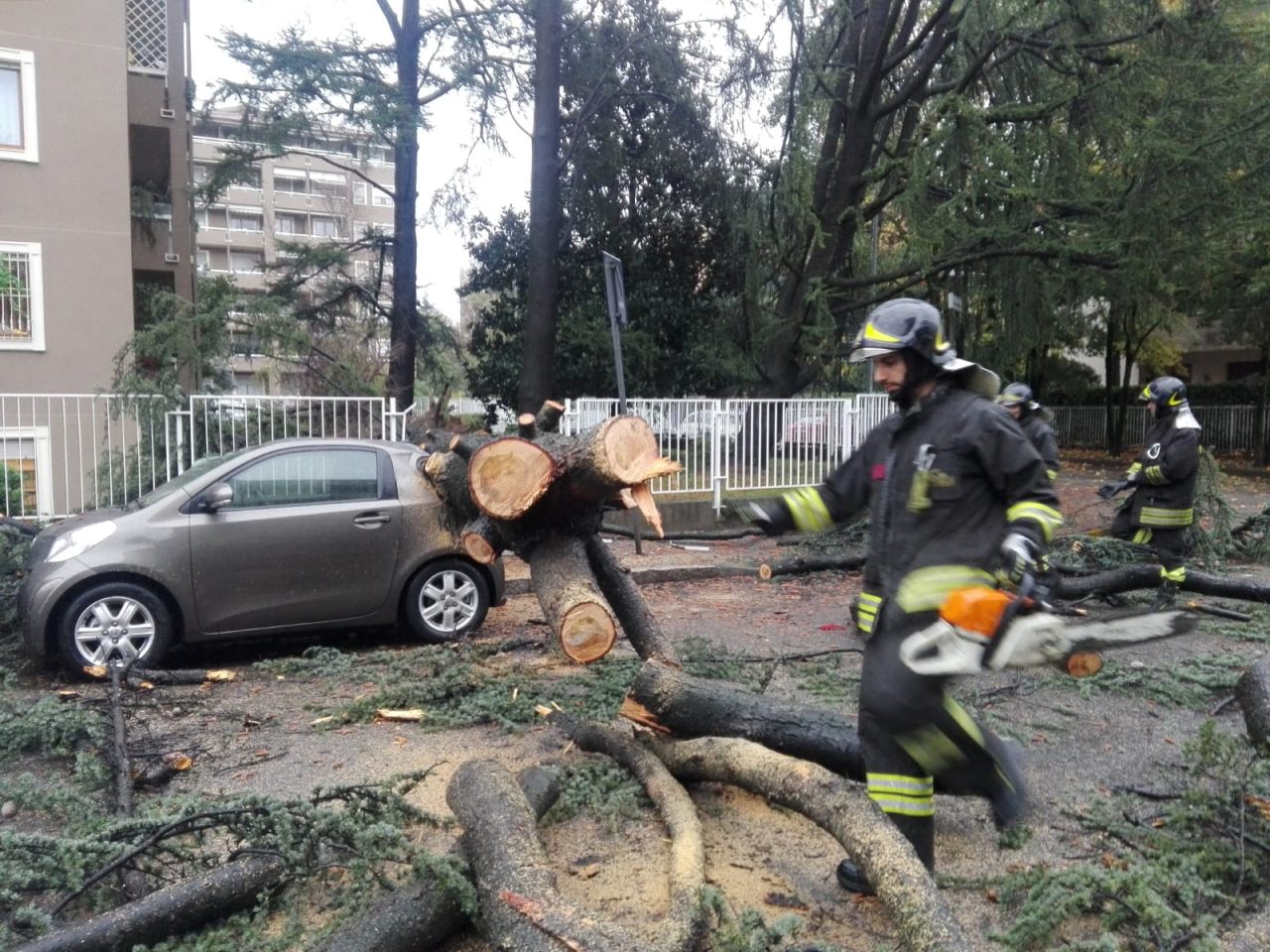 Paura a Triante, albero crollato in strada FOTO