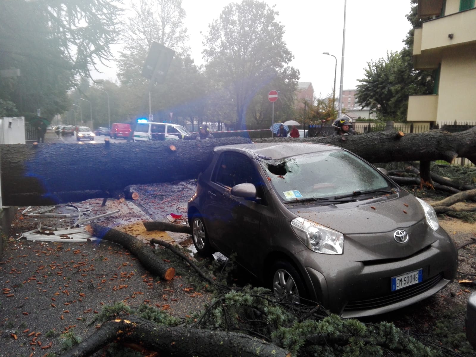 Paura a Triante, albero crollato in strada FOTO