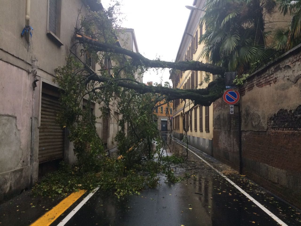 Il maltempo colpisce anche Desio, Meda e Lentate. A Cesano scuola materna allagata FOTO