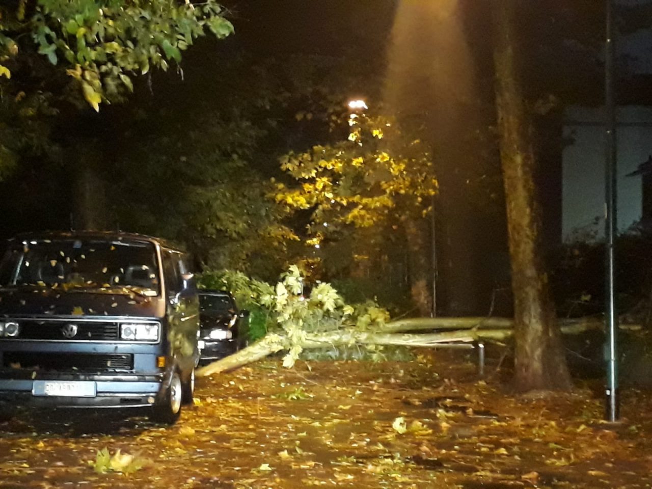 Forte vento e pioggia abbattono alberi e pali della luce