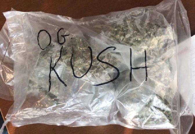 Sequestrati cinque etti di marijuana