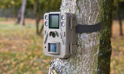 Stasera in Consiglio si parlerà di fototrappole per incastrare chi abbandona i rifiuti