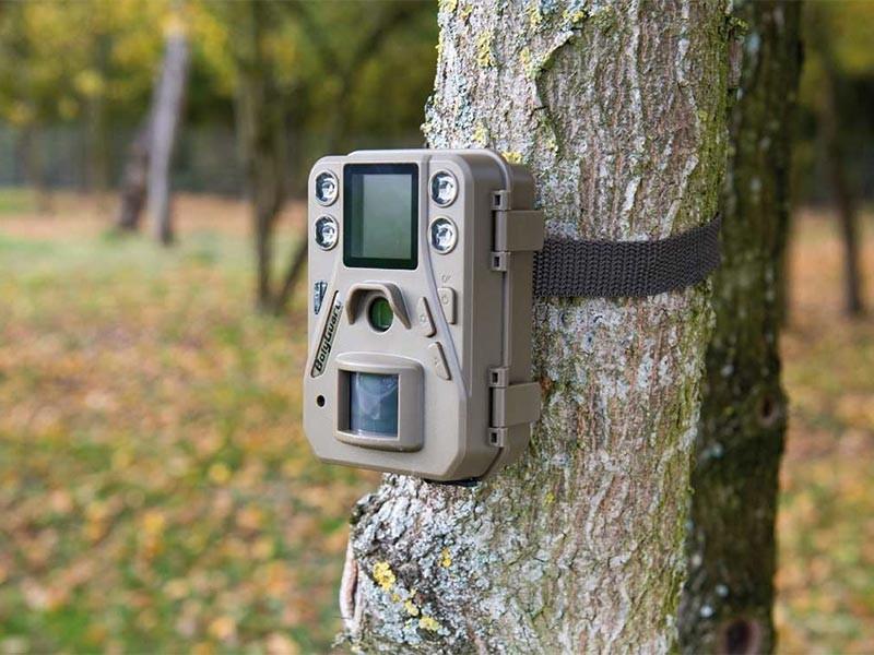 Stasera in Consiglio si parlerà di fototrappole per incastrare chi abbandona i rifiuti
