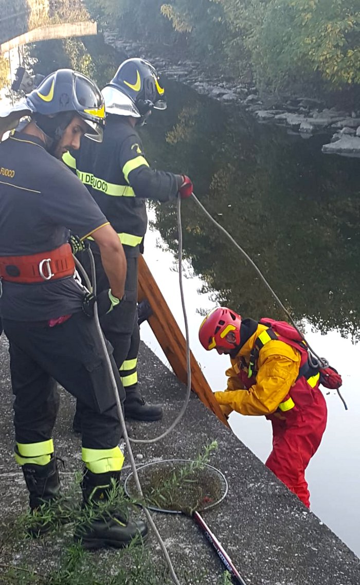Soccorso airone cinerino sul Lambro, muore nonostante gli sforzi FOTO