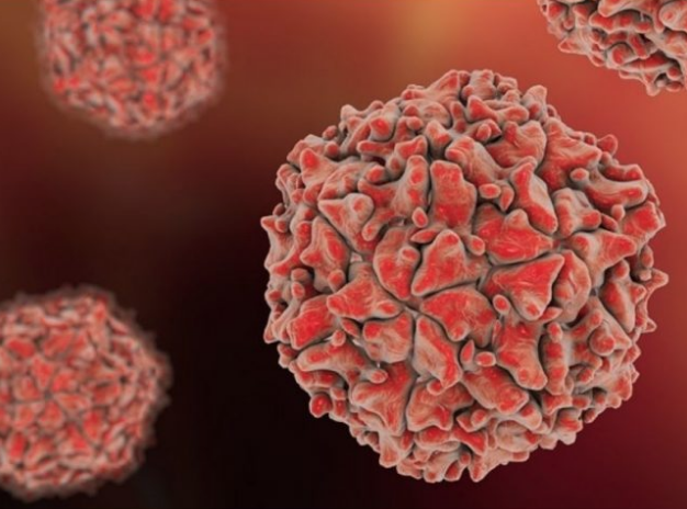 Caso di simil-polio in Lombardia su un bambino di 6 anni. La Regione rassicura