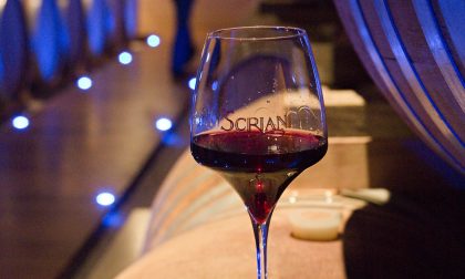 Vendemmia 2018, dal vigneto alla tavola: come è andata