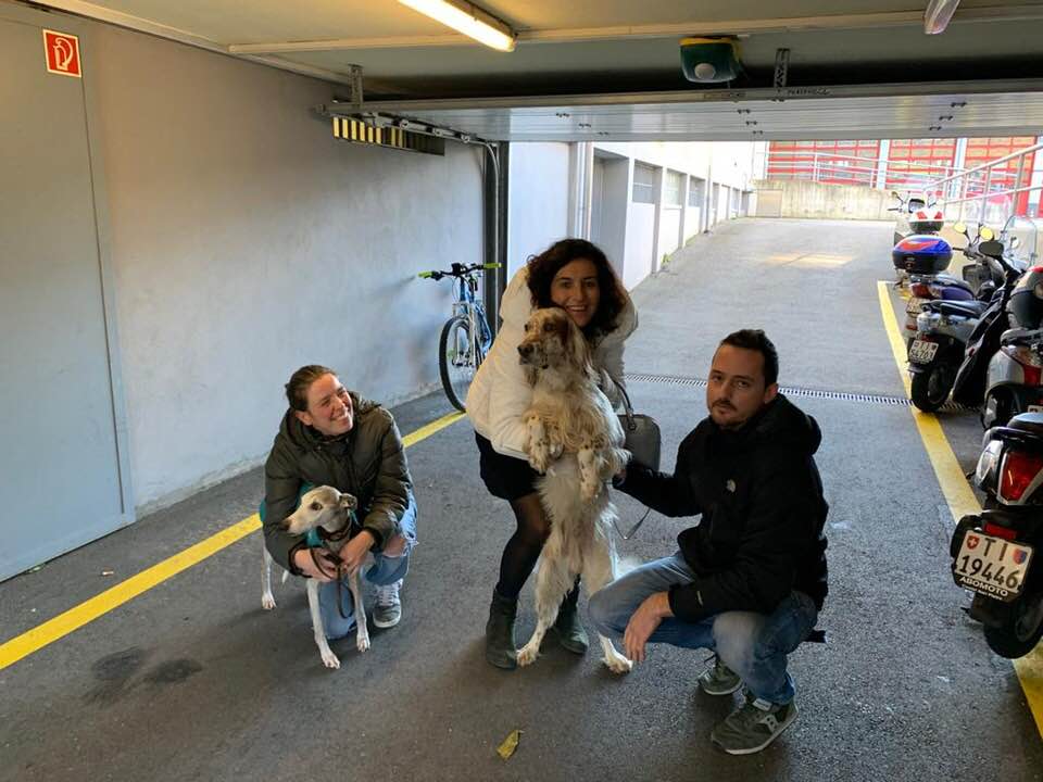 Cane rapito a Venezia, trovato grazie ad una segnalazione da Como FOTO