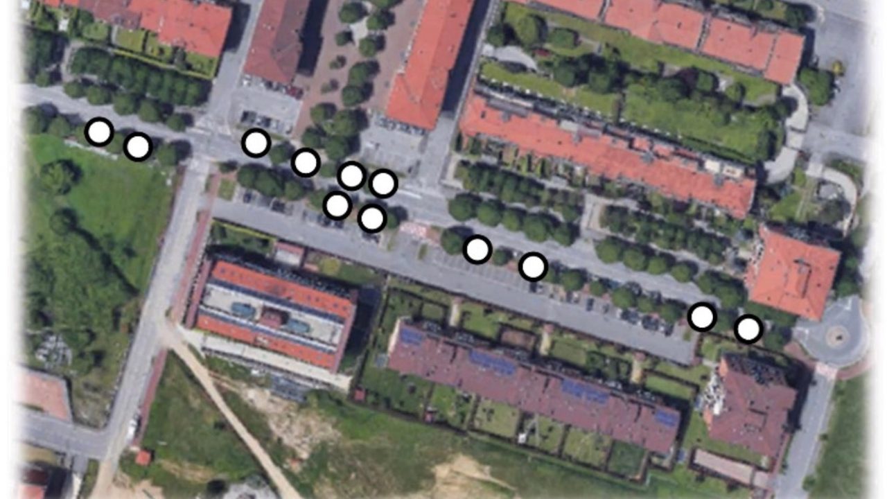 Tagliate 12 piante per salvare le ciclabili