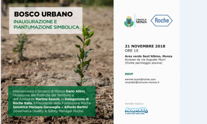 Giornata nazionale degli alberi e festa dell'albero