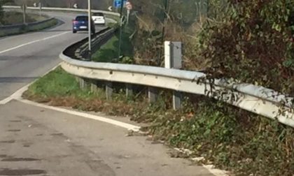 Sp13 ripulita dai rifiuti nel territorio di Caponago