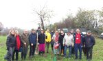 Festa dell'albero 2018: a Cesano piantati 180 alberi