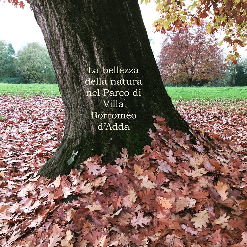 Al via un contest fotografico per valorizzare il parco di Villa Borromeo di Arcore