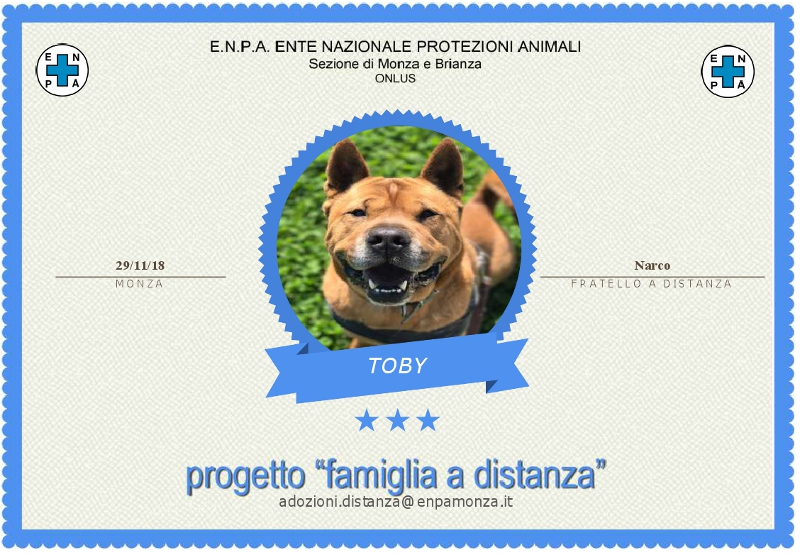 Arriva un “fratellino” per il cane Narco