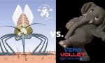 Vero Volley, è il giorno dell'Europa