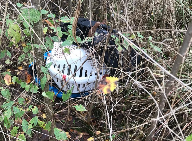 Una macabra scoperta a due passi dal canile di Monza