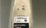 Listeria, richiamato il vitello tonnato "made in Martesana"