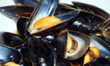 Rischio colera per cozze sarde ritirate dal mercato