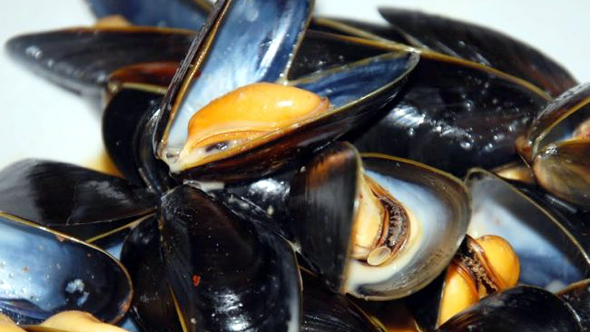 Rischio colera per cozze sarde ritirate dal mercato
