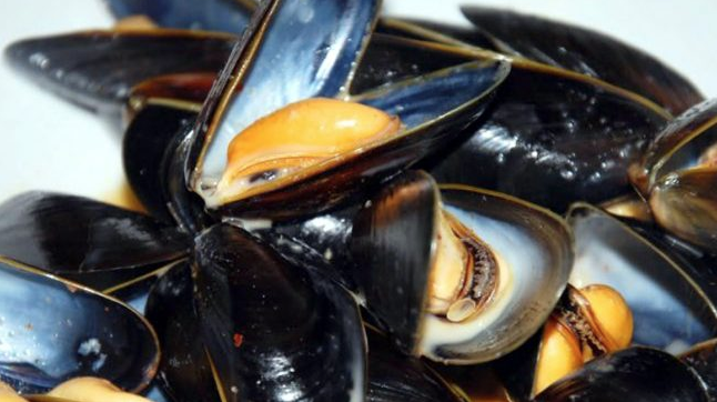 Vibrione patogeno nelle cozze: le precisazioni dell’azienda produttrice
