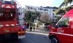 Forte vento fa crollare albero sulle auto in sosta - FOTO