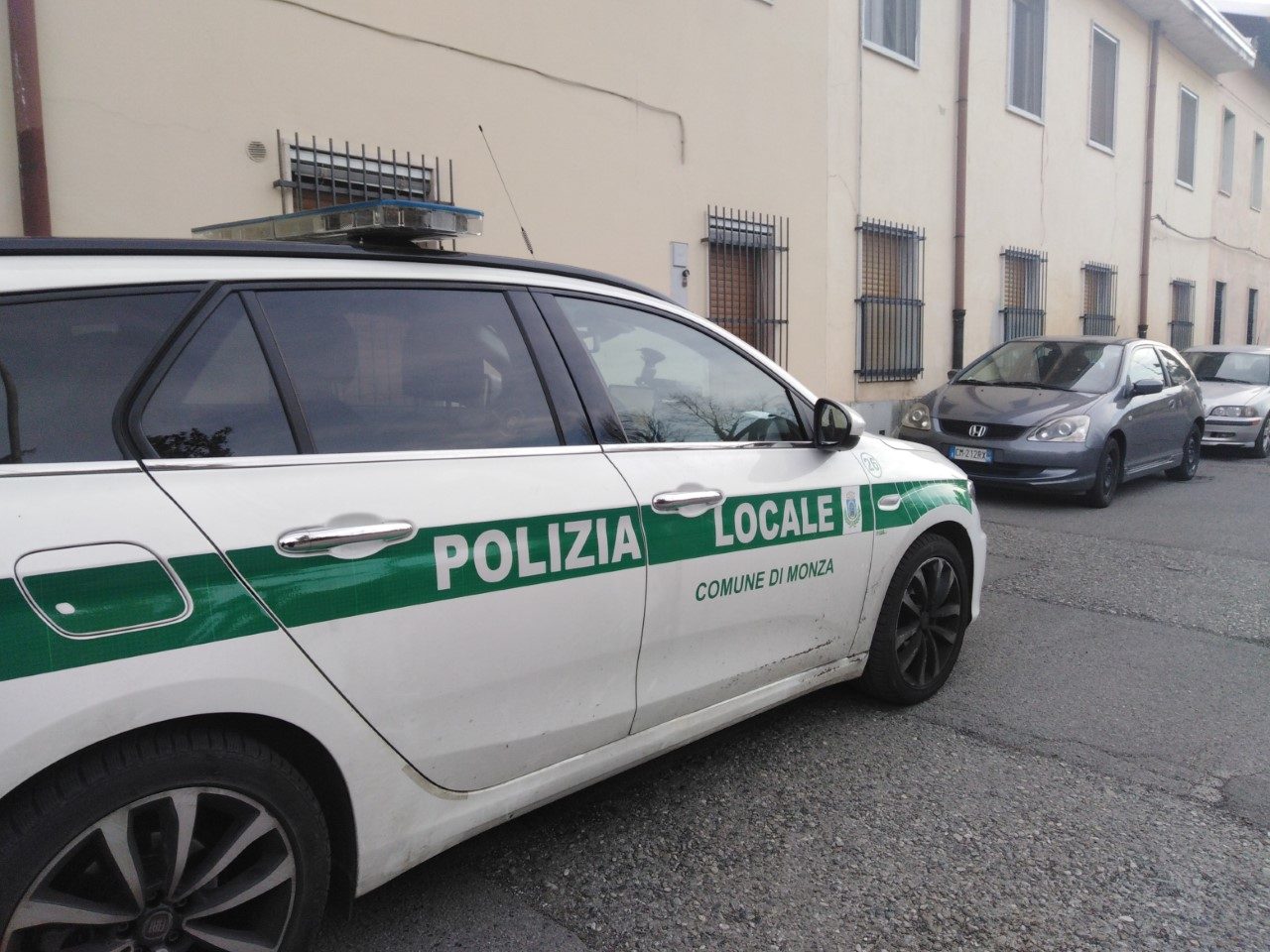 Cane scappa dal cortile e morde un anziano