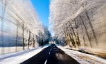 Niente bomba di neve, ma accumuli fino a 8 centimetri in Lombardia | Previsioni Meteo