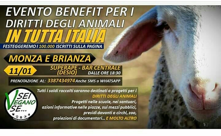 Apericena vegano a Desio e raccolta fondi per animali maltrattati