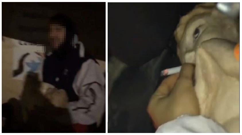 Ruba Gesù bambino dal presepe: denunciato un 18enne – VIDEO