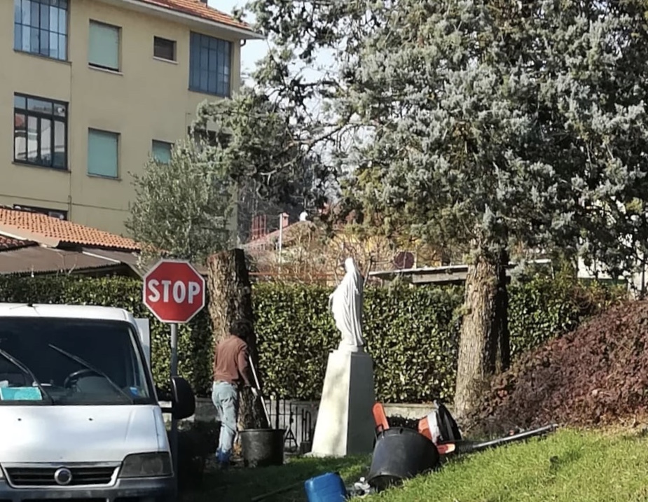 Carate Brianza, il don taglia cipresso: scatta la multa