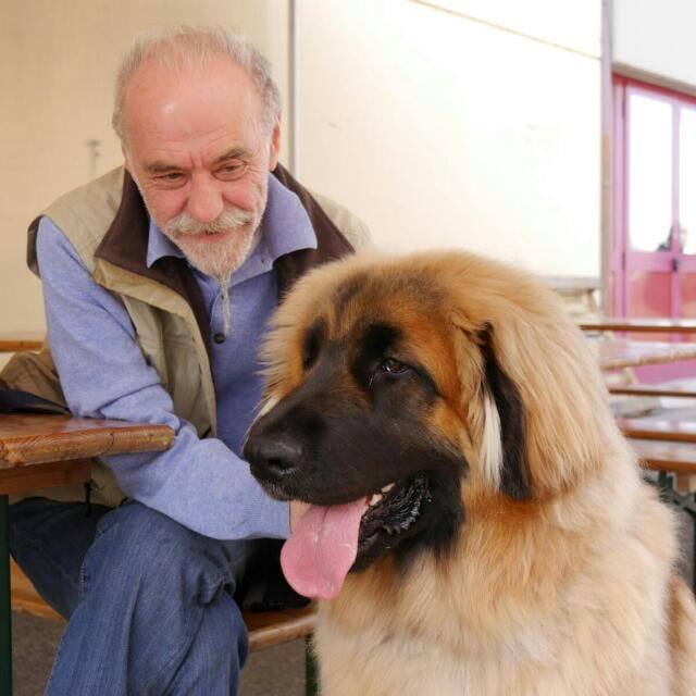 Muore nell’incidente, la storia di Carlo e del cane Maber