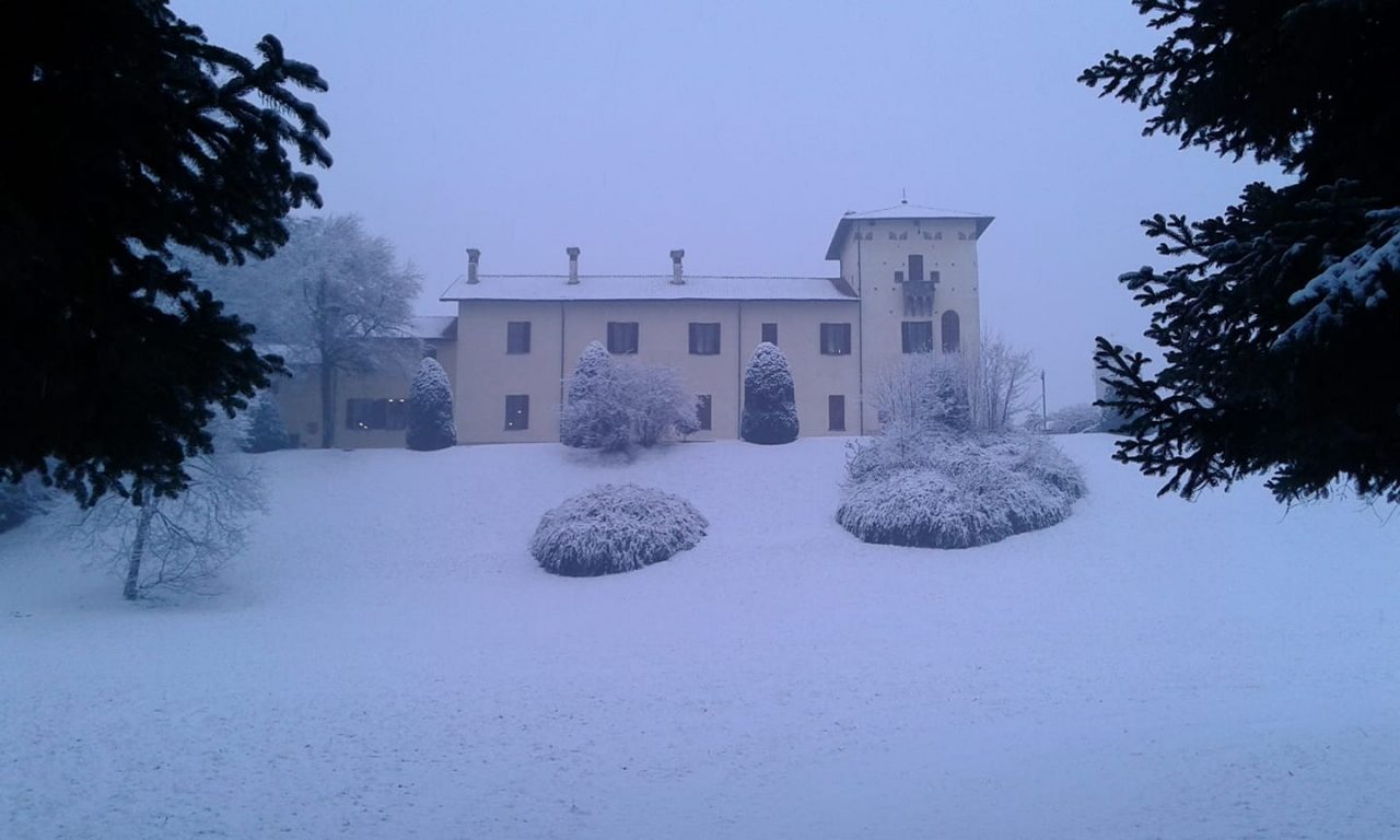 Tutti i video e le foto della neve in Brianza