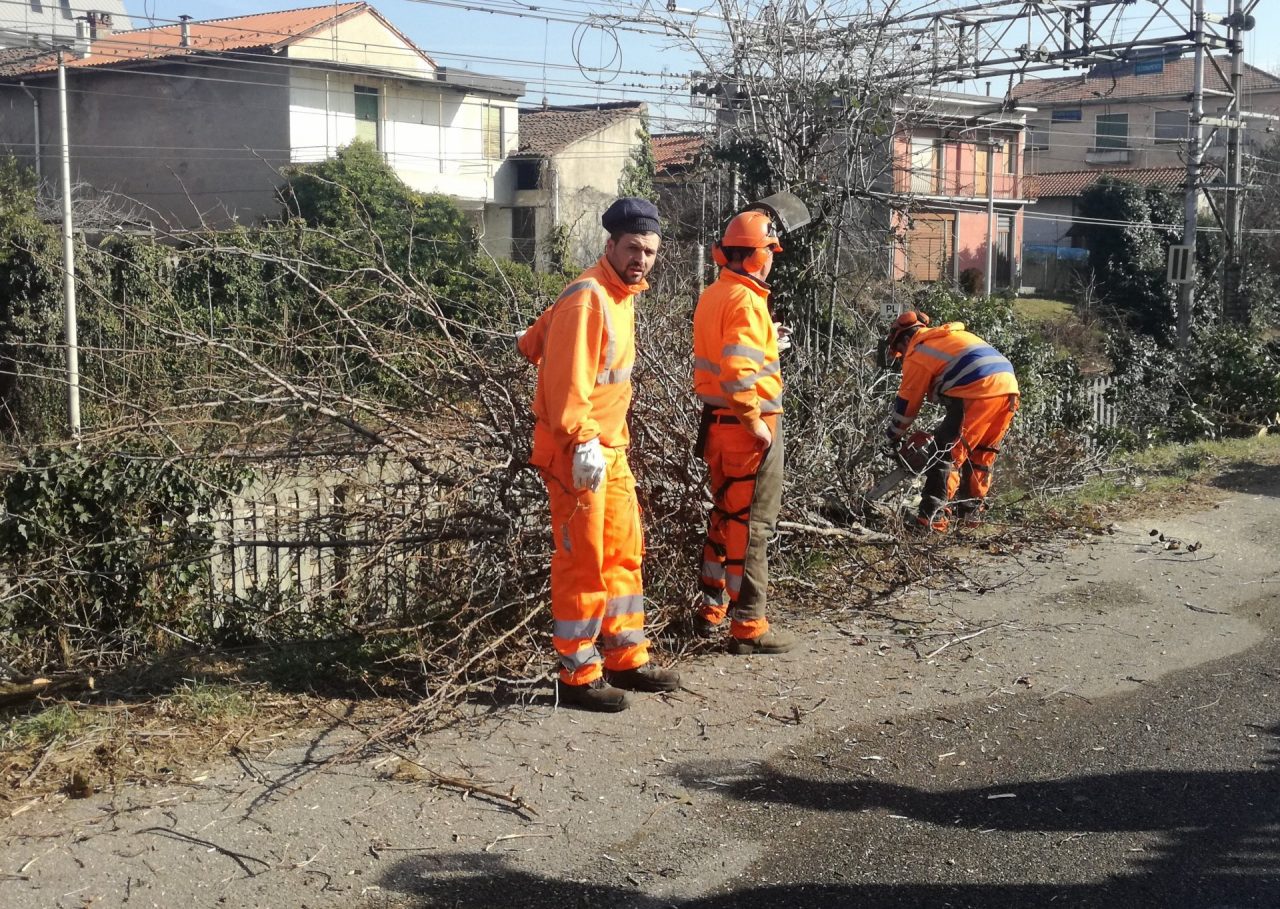 Abitanti allarmati per il taglio delle piante a ridosso della ferrovia FOTO