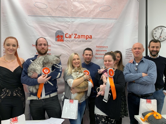 Giornata mondiale del gatto, felini protagonisti a Brugherio FOTO