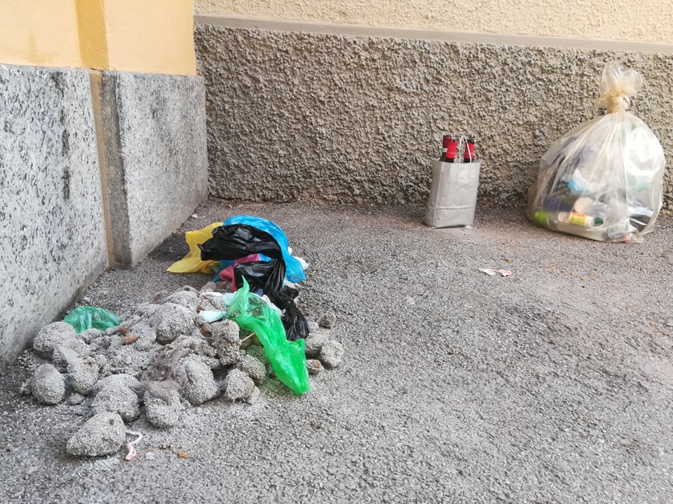 Incredibile, “piovono pallottole”…di gatto