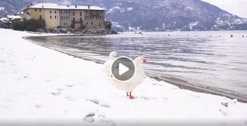 Luoghi romantici e misteriosi? L’autore delle “Maldive a un’ora da Milano” svela le bellezze del lago VIDEO