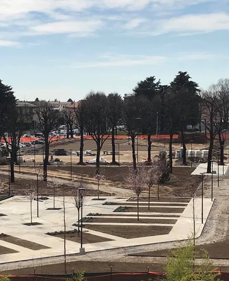 Giussano, nuovo parco urbano: “alberi massacrati”