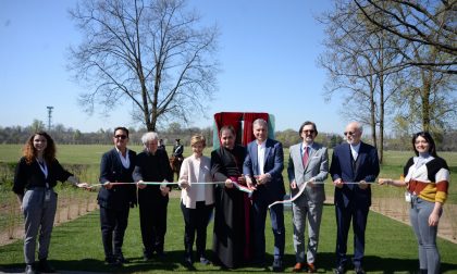 Papa Francesco, inaugurata l'opera d'arte nel Parco di Monza