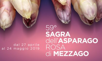 Sagra dell'Asparago Rosa di Mezzago: ecco le date della 59° edizione