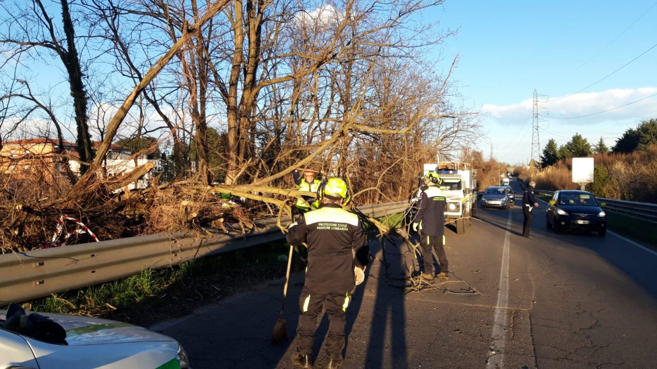 Diversi interventi a causa del vento forte in Brianza FOTO
